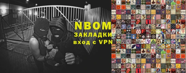 сатива Инта