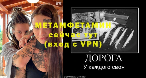 сатива Инта