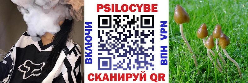 Галлюциногенные грибы Cubensis  продажа наркотиков  МЕГА ссылка  Иланский 